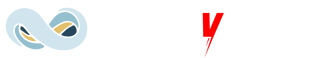 NetSuite VS Rise with SAP_2